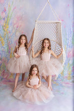 Load image into Gallery viewer, RTS -Multi Purpose Dress/Prop